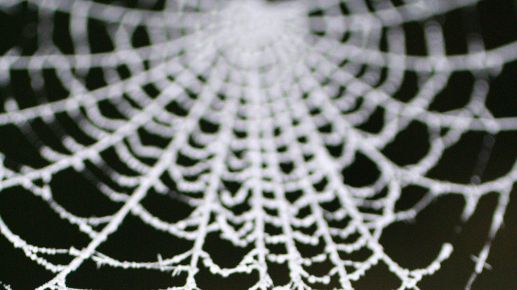 Connections: we determine the “system” you operate in and how different aspects are connected and impacting each other